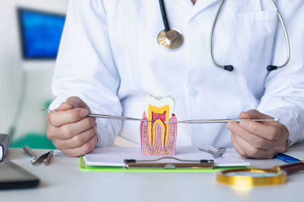 Best Emergency Dental Extractions in Lowell, MA